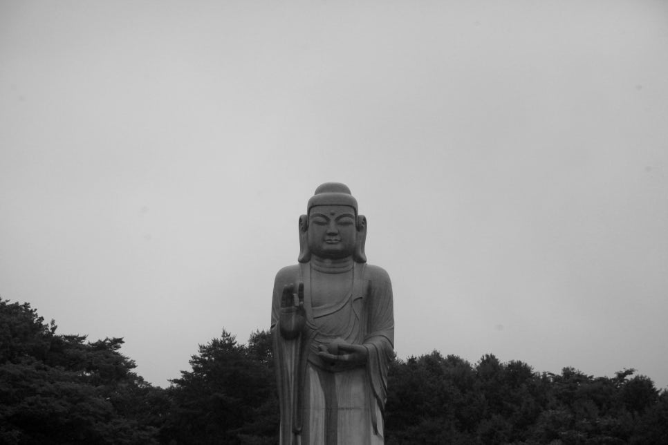 [팔공산국립공원] 팔공산국립공원 동화지구 100배 즐기기