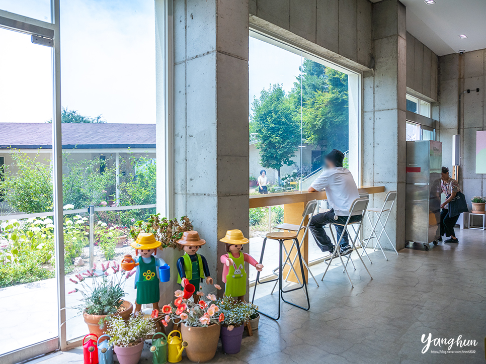 경기도 양평 가볼만한곳 여름 계곡 양평 카페 애견 동반