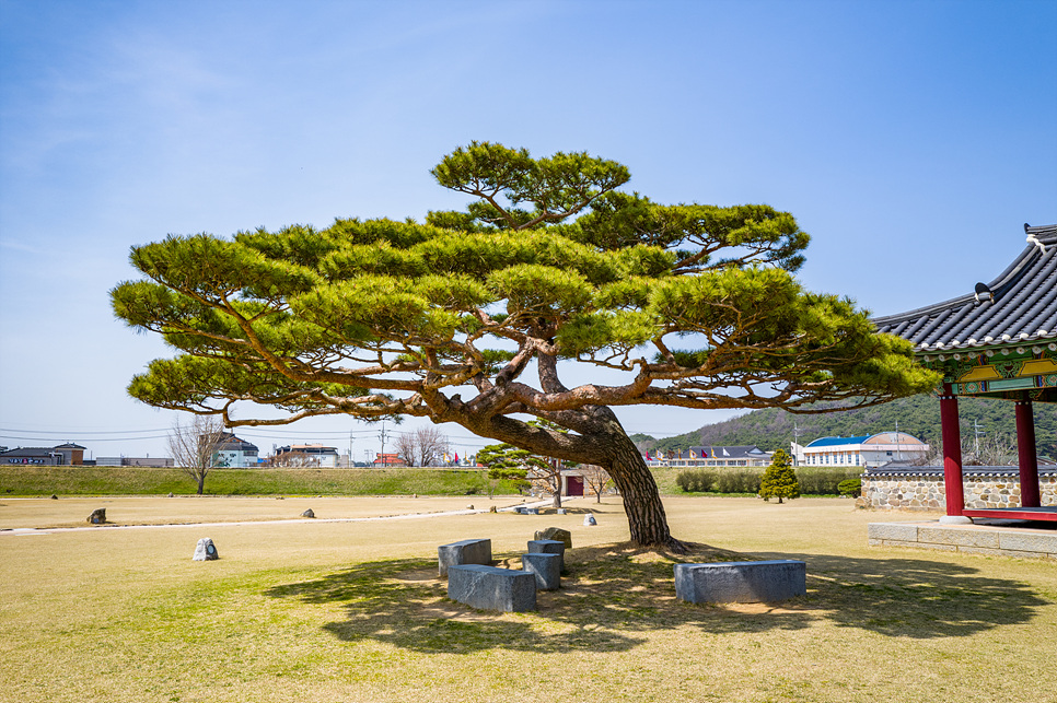 서산 가볼만한곳 충남 서산 여행 간월암 해미읍성