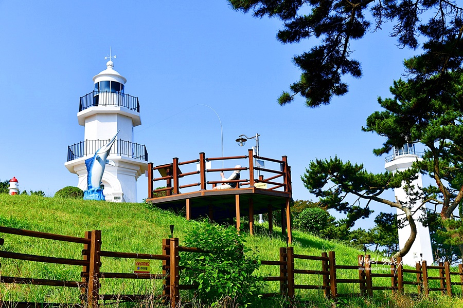 울산 가볼만한곳 울산 국가정원 울산 대왕암공원 출렁다리 울산 슬도 장생포 고래문화마을