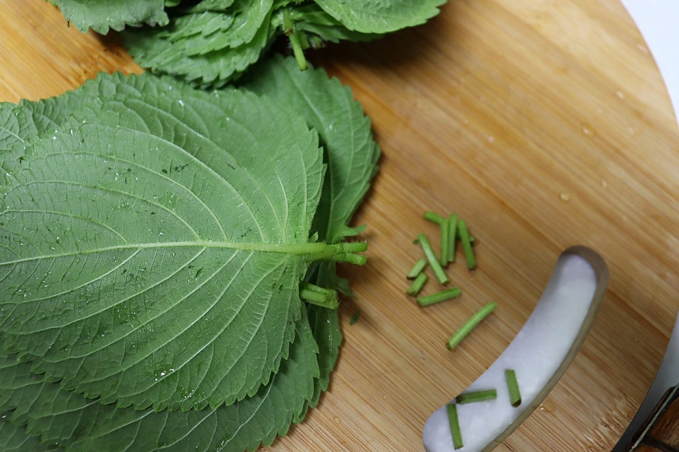 깻잎 양념장 만들기 깻잎무침 깻잎김치 양념장 만드는 법