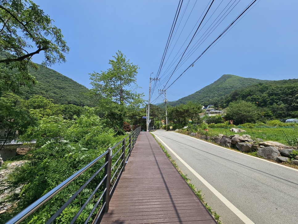 서울 근교 계곡 양평 사나사계곡 물놀이 포인트