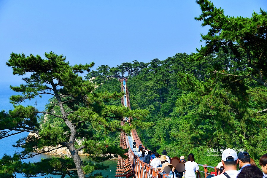 울산 가볼만한곳 울산 국가정원 울산 대왕암공원 출렁다리 울산 슬도 장생포 고래문화마을