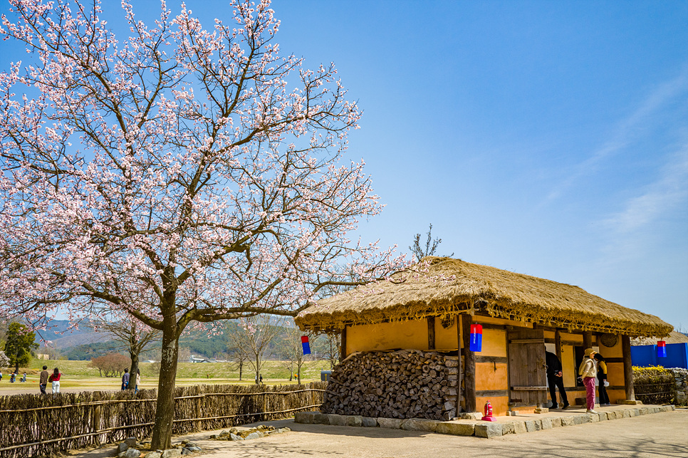 서산 가볼만한곳 충남 서산 여행 간월암 해미읍성