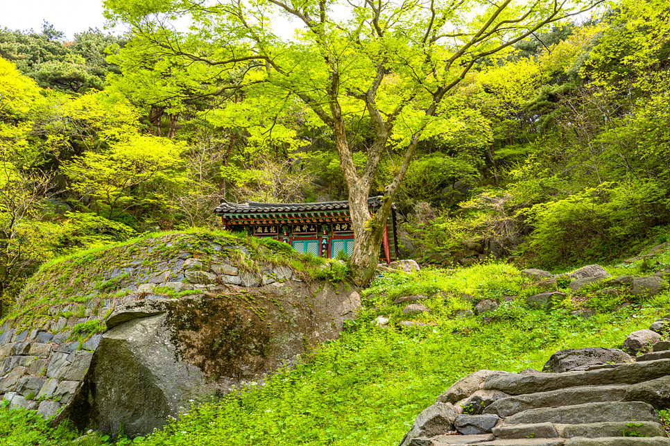 서산 가볼만한곳 충남 서산 여행 간월암 해미읍성