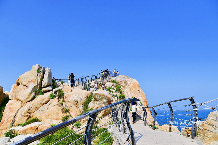 울산 가볼만한곳 울산 국가정원 울산 대왕암공원 출렁다리 울산 슬도 장생포 고래문화마을