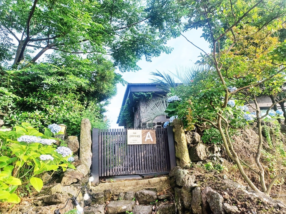 제주 여행 일기 먹거리 볼거리 맛집 카페 제주도펜션