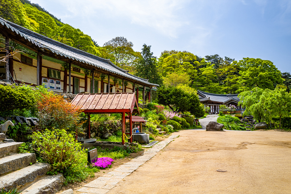 서산 가볼만한곳 충남 서산 여행 간월암 해미읍성