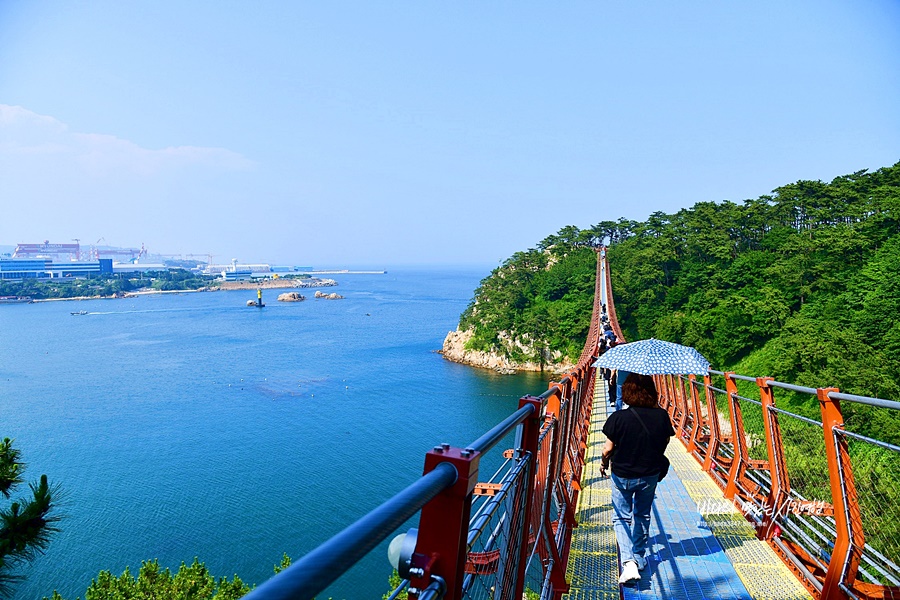 울산 가볼만한곳 울산 국가정원 울산 대왕암공원 출렁다리 울산 슬도 장생포 고래문화마을