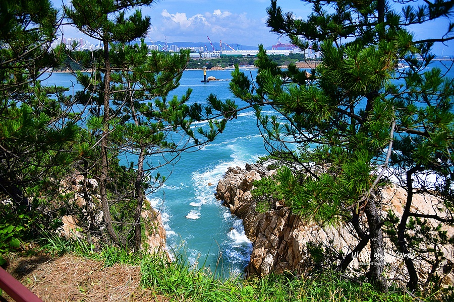 울산 가볼만한곳 울산 국가정원 울산 대왕암공원 출렁다리 울산 슬도 장생포 고래문화마을