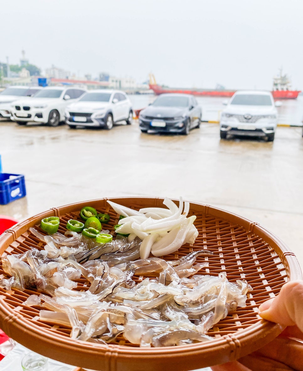 속초 가볼만한곳 동명항 오징어난전 시세 시간