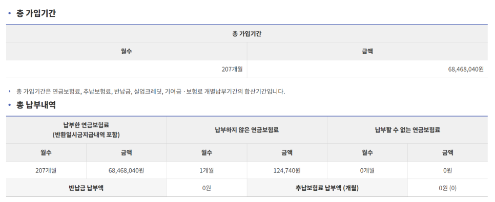 국민연금 수령액 - 207개월 동안 납입한 결과는? 나이 계산 조회방법 예상수령액