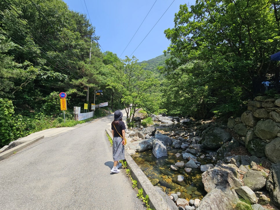 서울 근교 계곡 양평 사나사계곡 물놀이 포인트