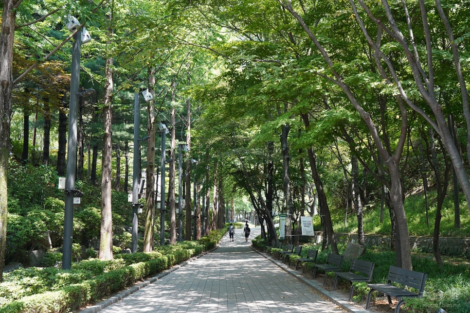 서울 중랑구 용마폭포공원 황톳길 맨발 걷기