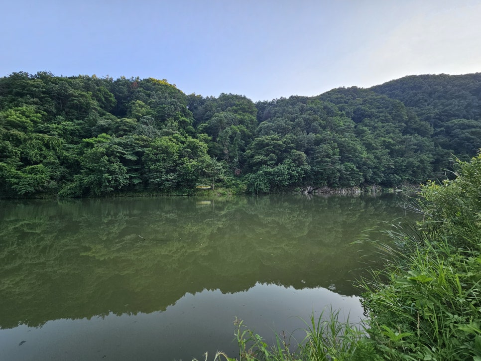 경기도 차박 캠핑 강뷰가 멋진 모모카페 가평 차박 장소 추천