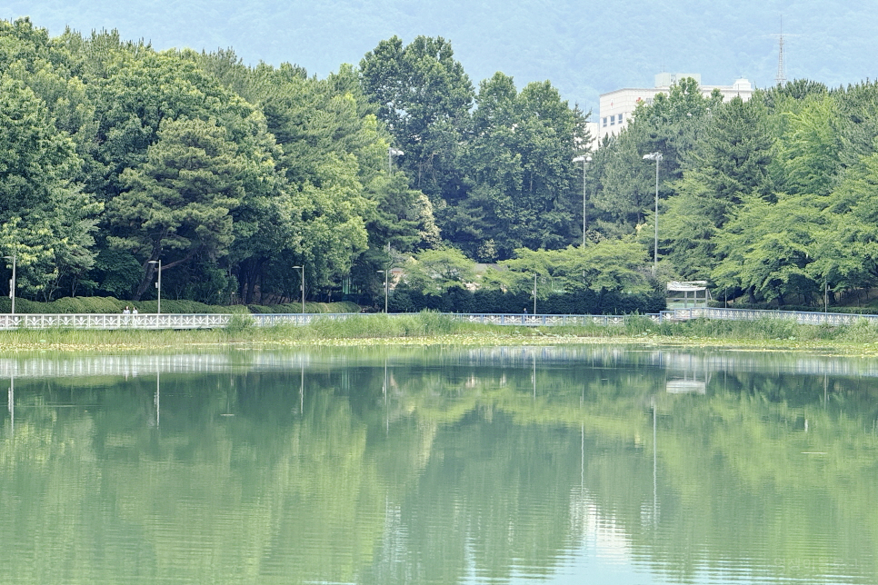 경상도 여행 창원중앙역 주차장 창원 가볼만한곳 용지공원 용지호수