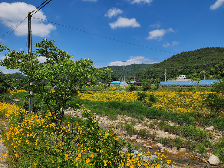 속리산국립공원 계곡 탐방 충북 괴산 선유동 계곡