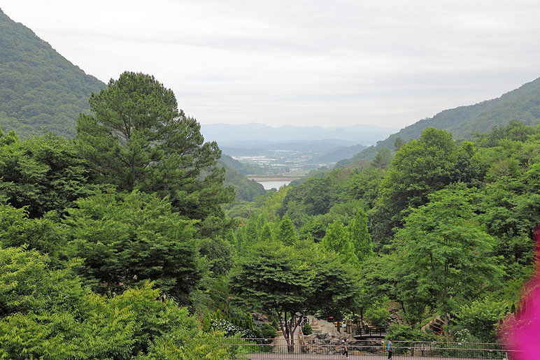 진주 월아산 숲속의 진주 수국 정원박람회 월아산 우드랜드 등