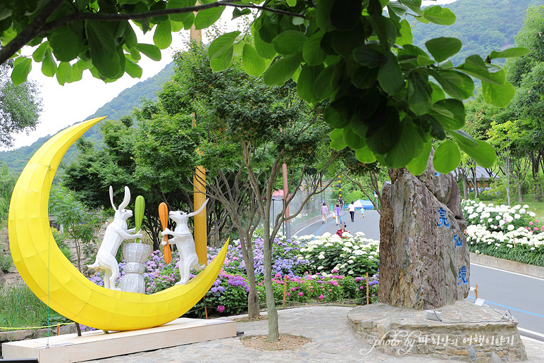 진주 월아산 숲속의 진주 수국 정원박람회 월아산 우드랜드 등