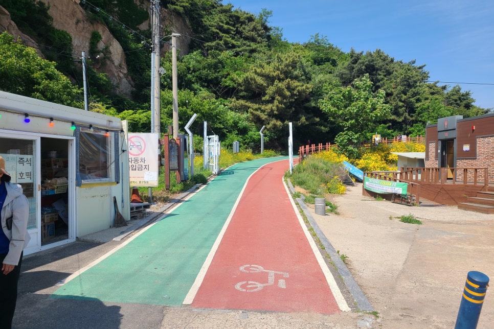 인천 영종도, 무의도 드라이브 가기 좋은곳, 무의도에서 소무의도까지 산책하기 좋아요!