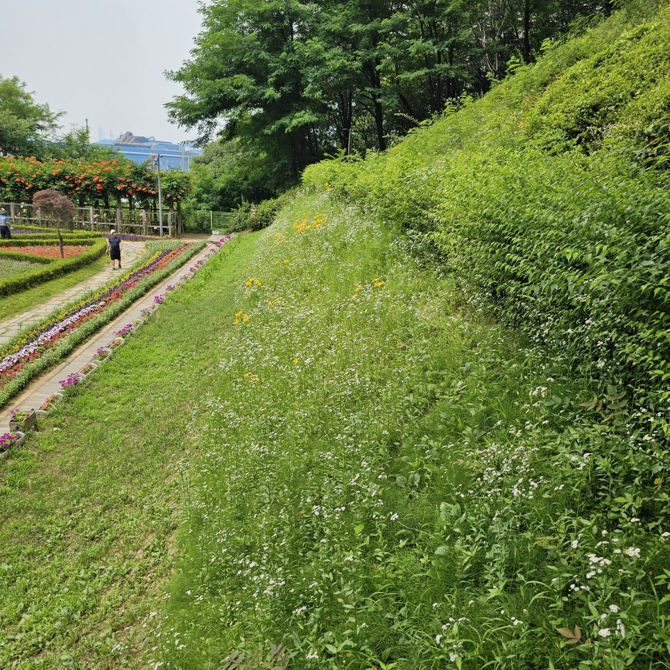 7월 인천 여행 가볼만한곳 능소화터널 송현근린공원 꽃길 데이트 코스 도깨비 드라마 촬영지