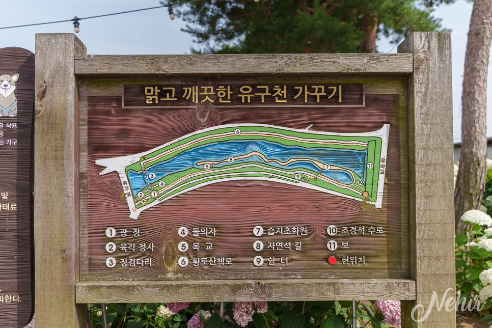 공주 유구색동수국정원 꽃구경 공주 수국축제