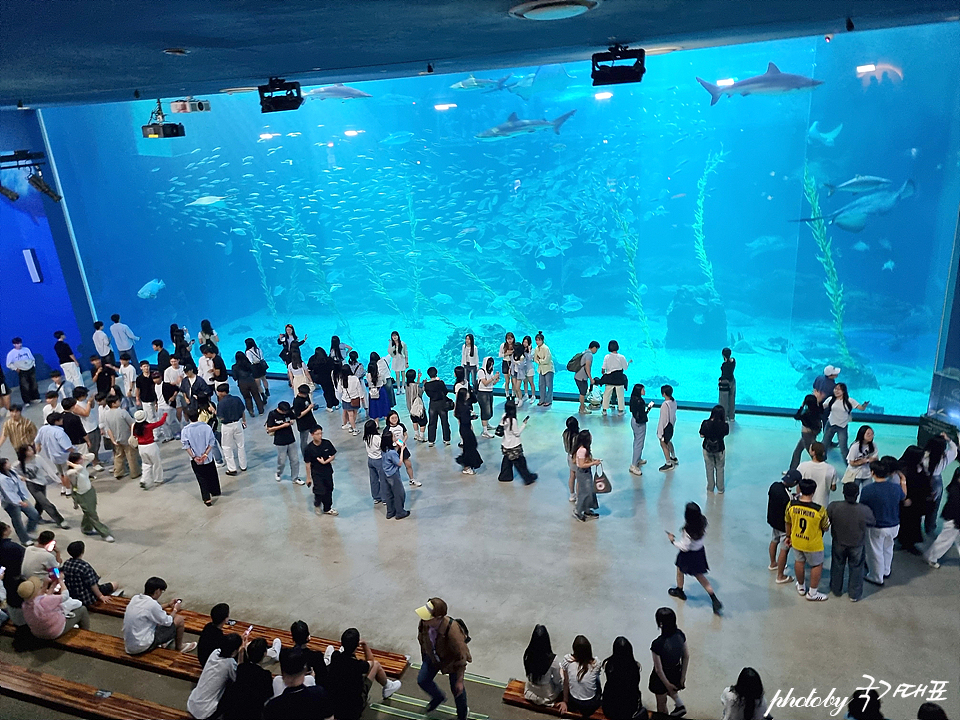 제주 갈만한곳 제주도 실내 가볼만한곳 비오는날 데이트