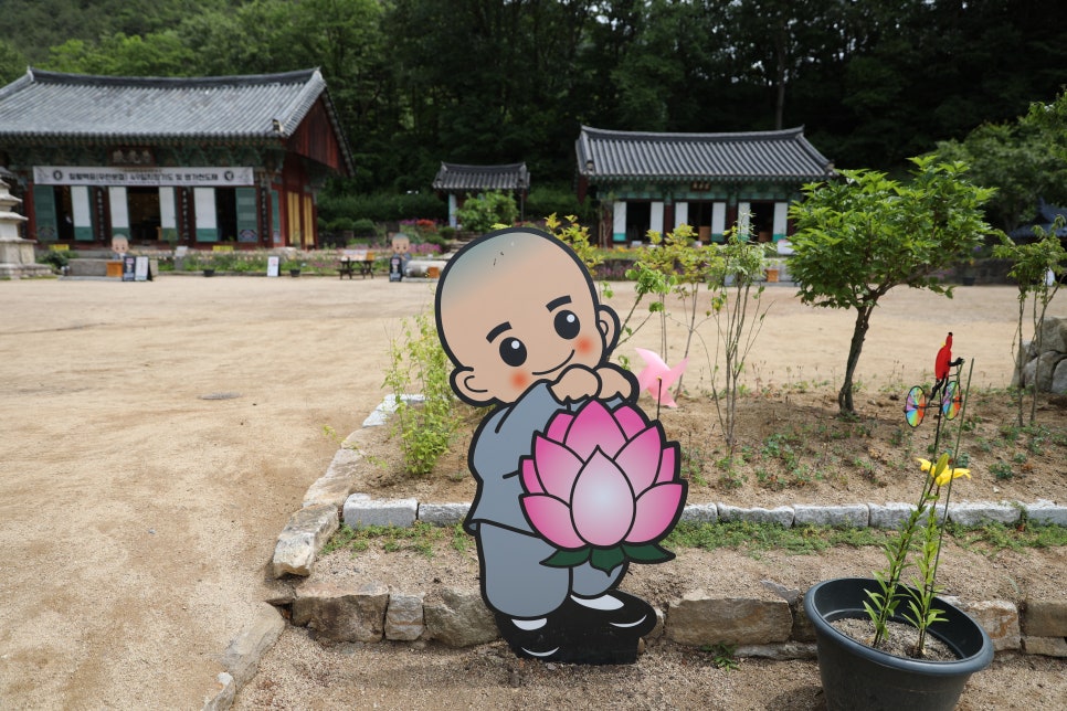 [주왕산국립공원 상의지구 ] 청량한 6월 초여름의 용추협곡