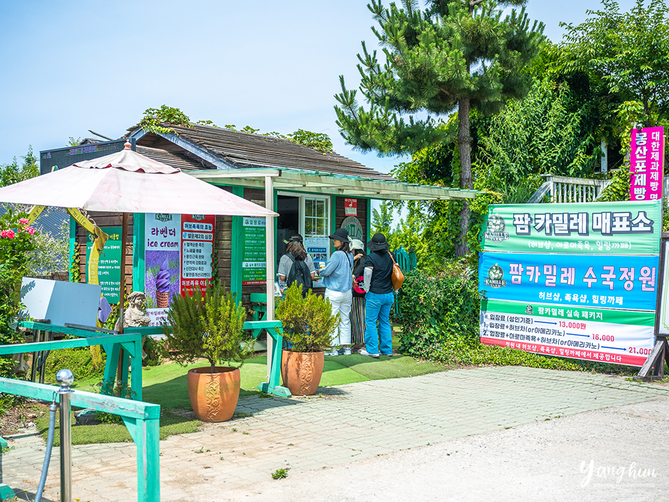 충남 태안 여행 추천 태안 팜카밀레 볼거리 놀거리