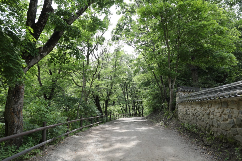 [주왕산국립공원 상의지구 ] 청량한 6월 초여름의 용추협곡