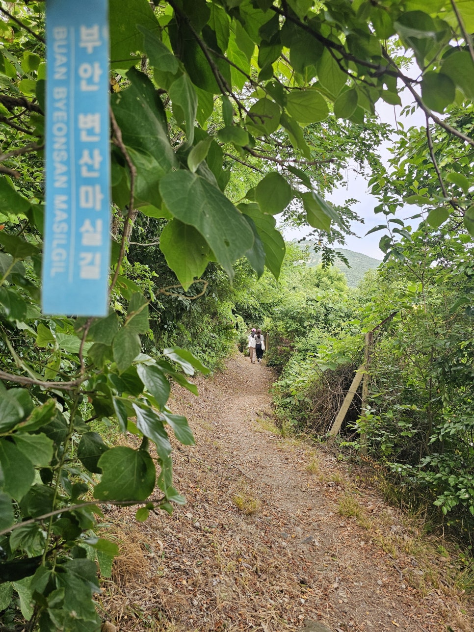 부안 여행 가볼만한곳 조금 더 깊이 보는 궁항 워케이션 마실길 걷기좋은길 일몰명소 솔섬 트레킹코스