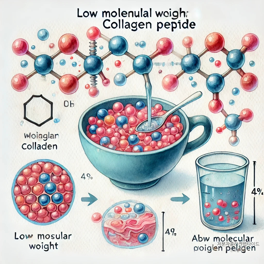 저분자콜라겐펩타이드 피부 건강 이점