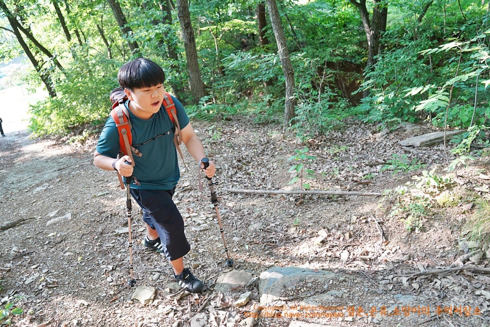 등산스틱 Whiz 휘츠 튼튼하고도 실용적이야!