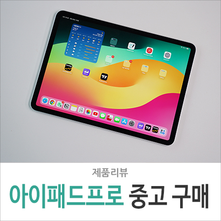 아이패드 프로 3세대 11인치 M1 중고 구매, 에어 6세대 M2 대신 선택