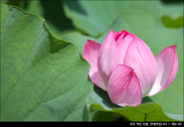 포토덤프 챌린지 일본 도쿄에서 보낸 4박5일