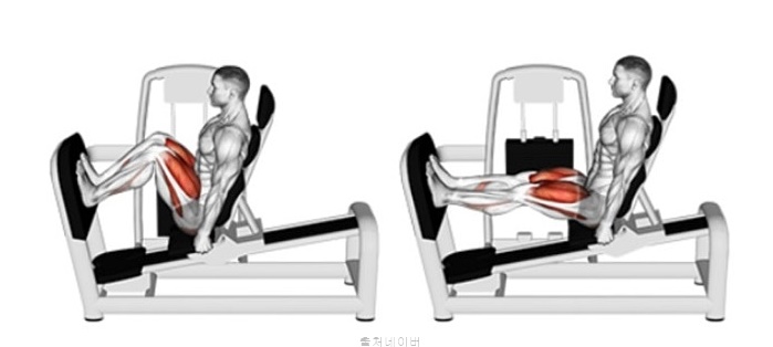 파워 레그프레스 여자 남자 하체 근력 운동 종류 다리 근육 강화 방법