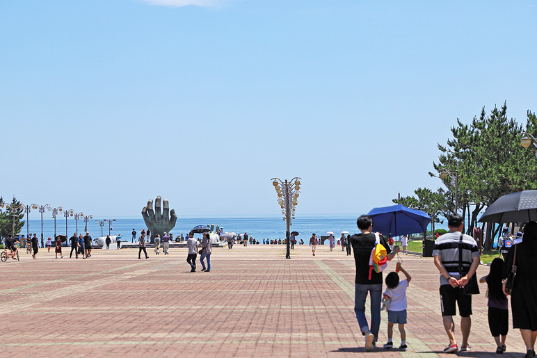 포항 여행 호미곶 메밀꽃 & 포항 영일교 영일대 해수욕장 전망대