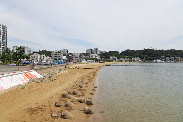 포항 여행 호미곶 메밀꽃 & 포항 영일교 영일대 해수욕장 전망대