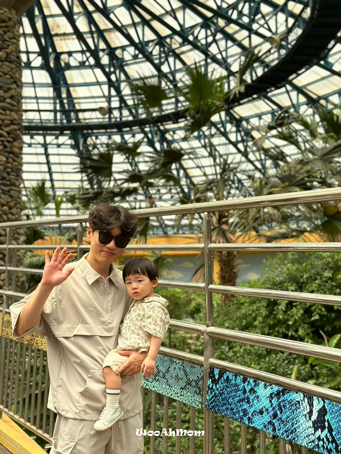 18개월아기랑 : 과천 서울대공원 동물원 추천코스, 푸드코트위치, 생태설명회 정보 꿀팁