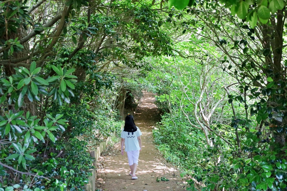 지심도 배편 장승포 거제 지심도 유람선 거제도여행