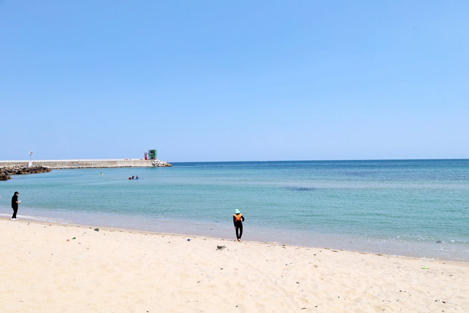 강원도 양양 서핑 강습 체험 숙소 인구해변 인구서프