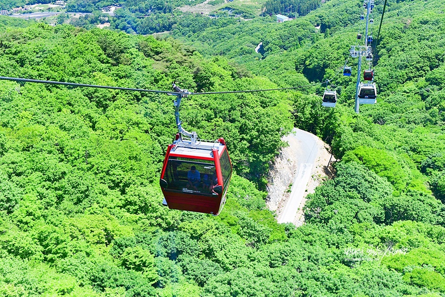 거제도 가볼만한곳 거제 파노라마 케이블카 타고 거제도 바람의언덕 거제 카페 온더선셋 거제 대교