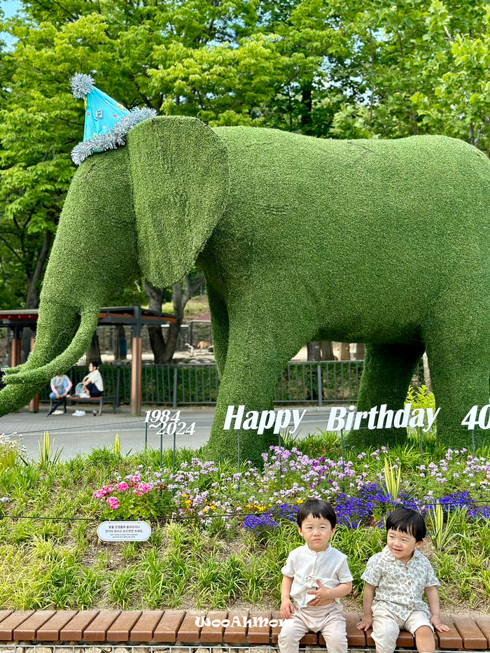 18개월아기랑 : 과천 서울대공원 동물원 추천코스, 푸드코트위치, 생태설명회 정보 꿀팁