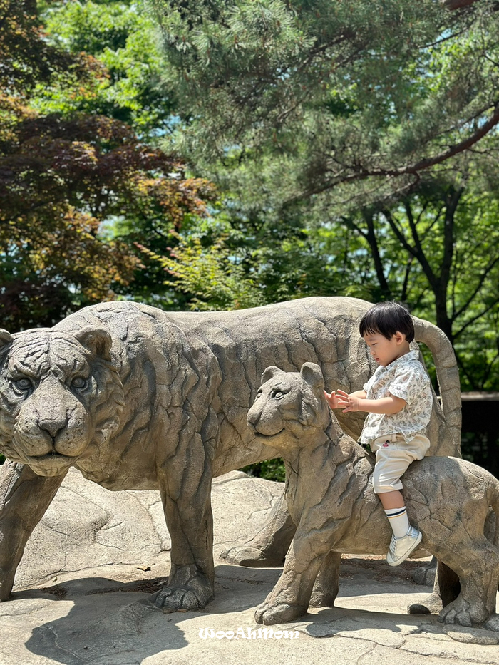 18개월아기랑 : 과천 서울대공원 동물원 추천코스, 푸드코트위치, 생태설명회 정보 꿀팁