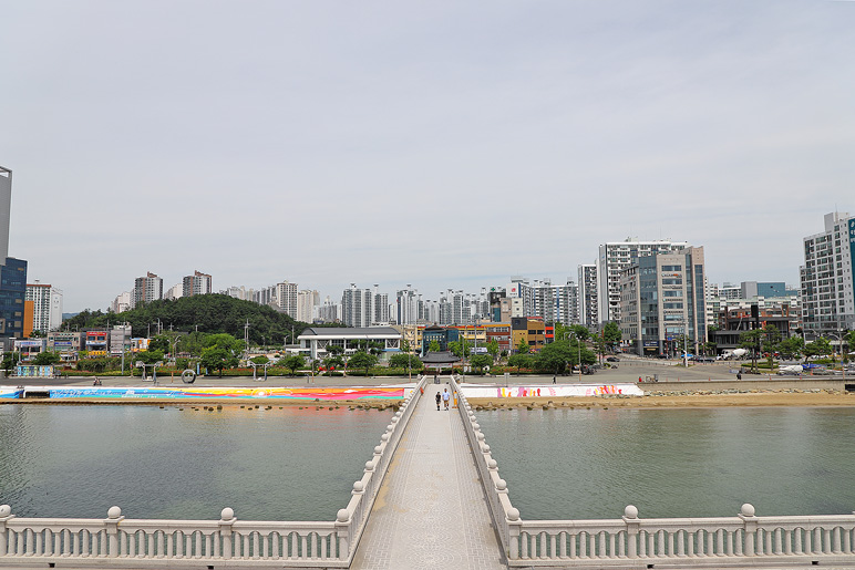 포항 여행 호미곶 메밀꽃 & 포항 영일교 영일대 해수욕장 전망대