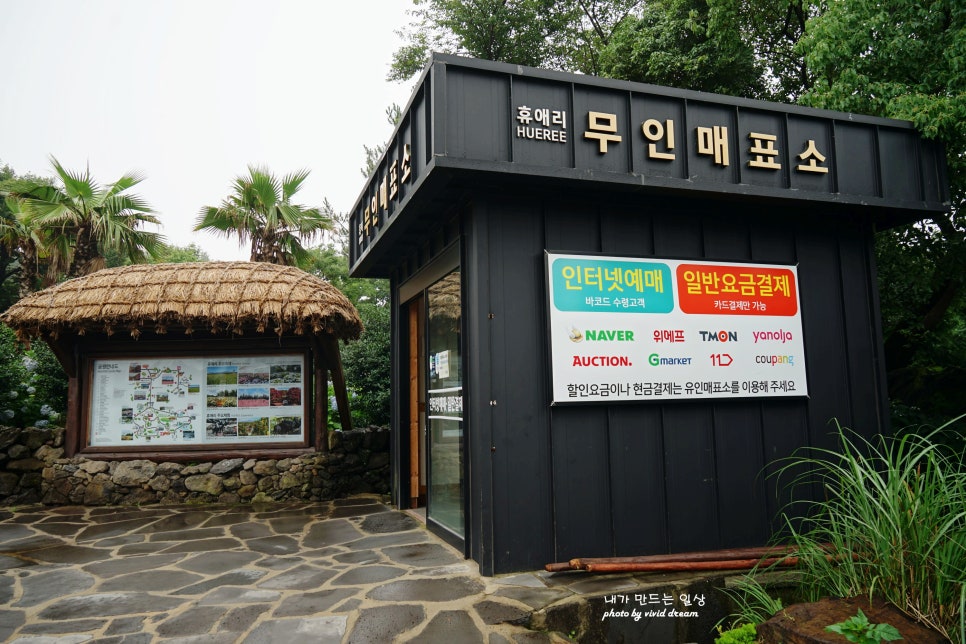 제주도 7월 비올때 가볼만한곳 휴애리 제주 수국길 명소