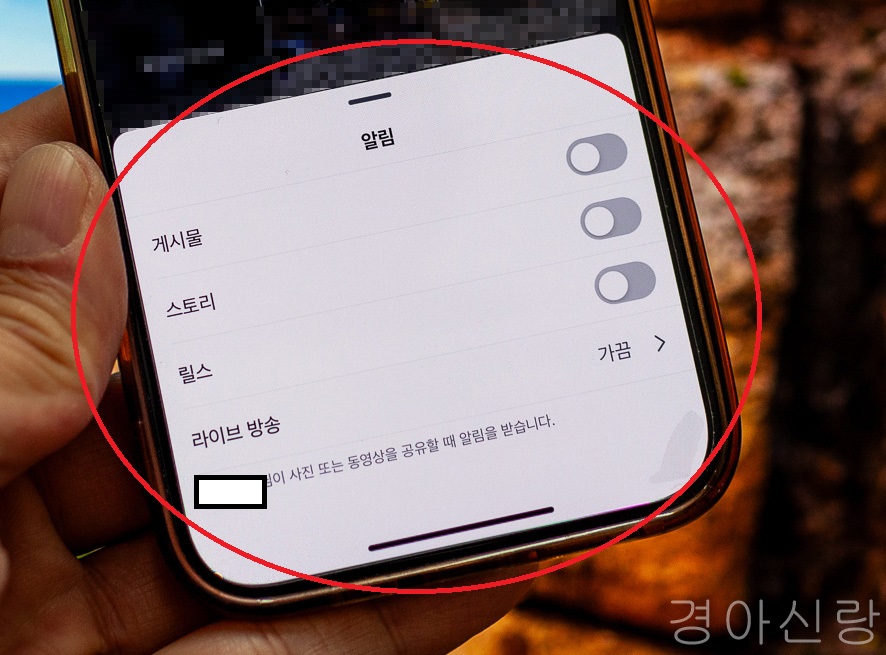 인스타그램 라이브 방송 알림 끄기 및 특정 팔로잉 알림 설정하기