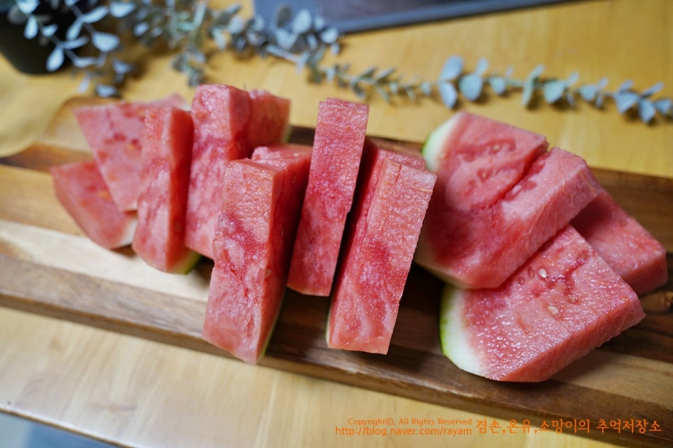 고당도 씨없는 수박 진짜 달고 맛있어요! 델푸릇