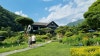 [3년 전 오늘] 예쁜 정원과 계곡이 흐르는 양평 카페 "내츄럴가든529"