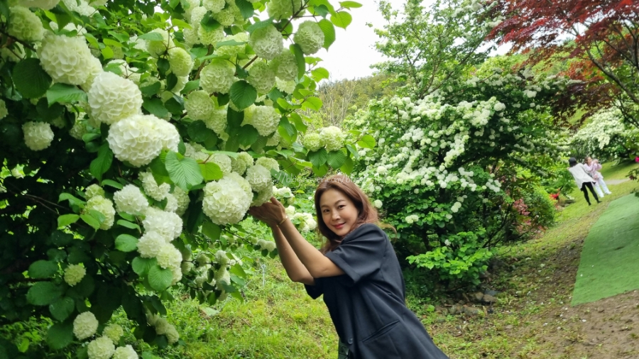 [엄마랑 딸셋 후쿠오카 여행 Day4] 가와치후지엔 등나무꽃축제